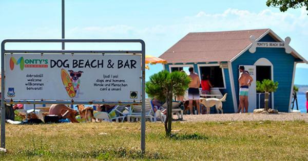 Apartman Brankica Crikvenica Esterno foto